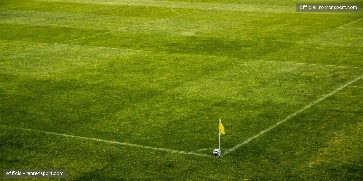 🏟️ 巨型国旗覆盖看台，红色海洋汹涌澎湃，热血共振全场！🇨🇳